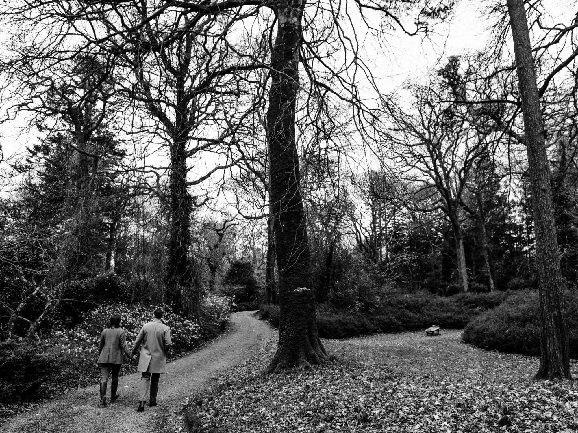 The Forest At Mount Congreve Gardens Kilmeaden Kültér fotó