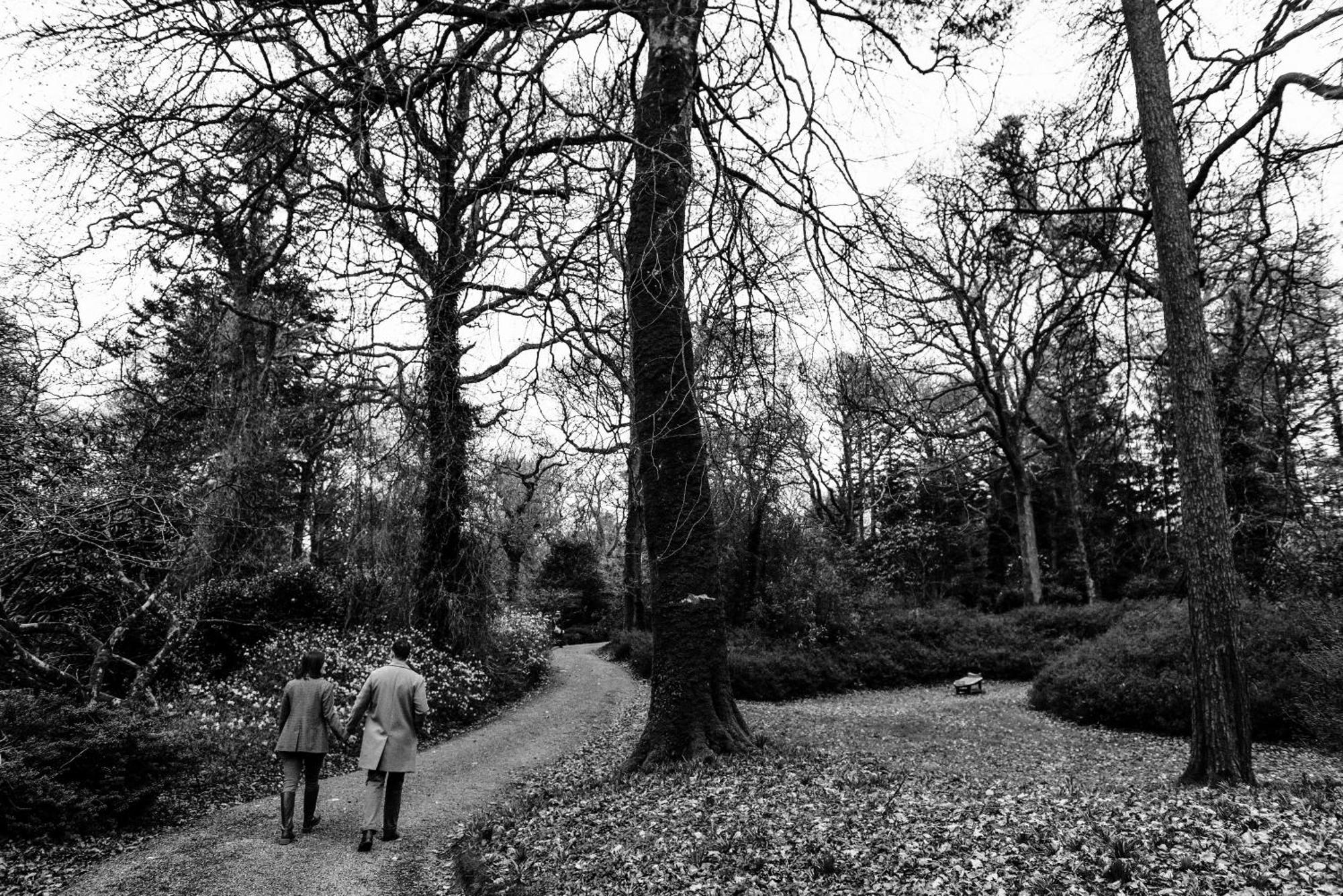 The Forest At Mount Congreve Gardens Kilmeaden Kültér fotó